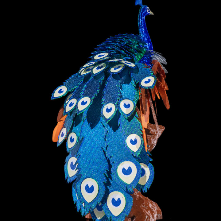 Mayura, the Peafowl image