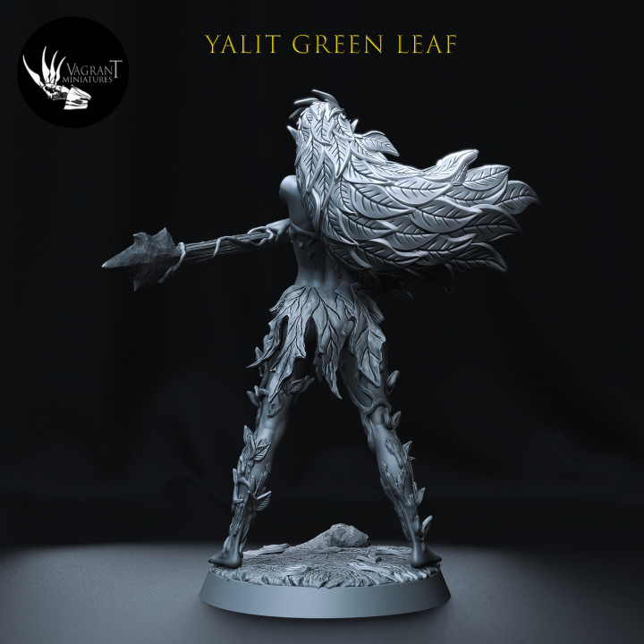 Yalit Green Leaf image