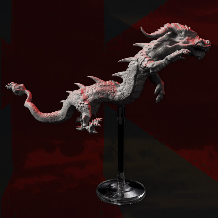 Young Oriental Dragon