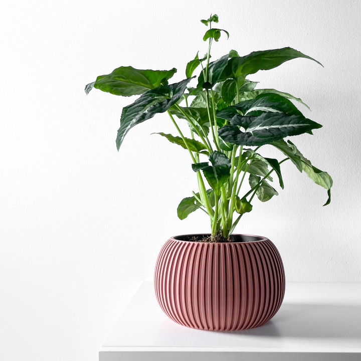 The Surno Planter Pot with Drainage Tray & Stand: Modern and Unique Home Decor for Plants and Succulents  | STL File image