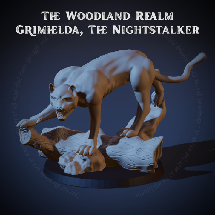 The Woodland Realm - Grimhelda, the Nightstalker image