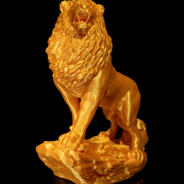 The Asiatic Lion image