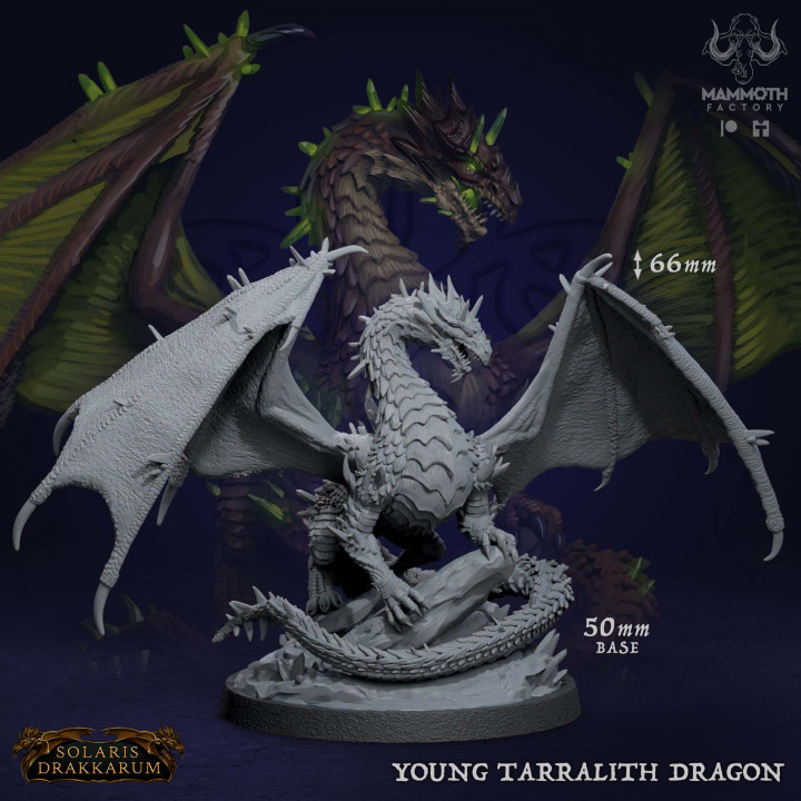 Young Tarralith Dragon image
