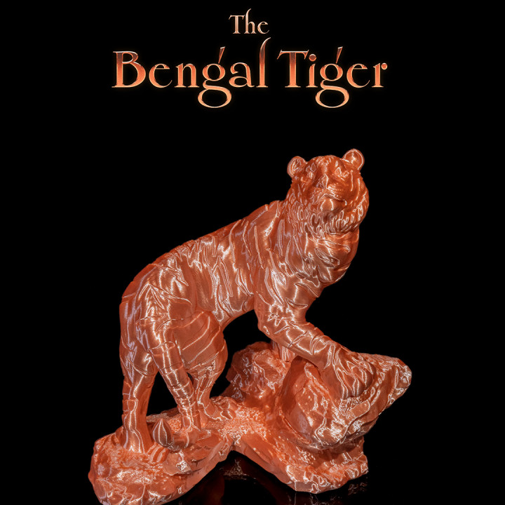 The Bengal Tiger