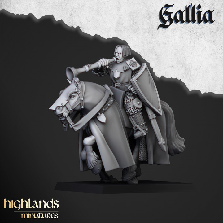 3D Printable Young Knights Of Gallia - Highlands Miniatures By ...