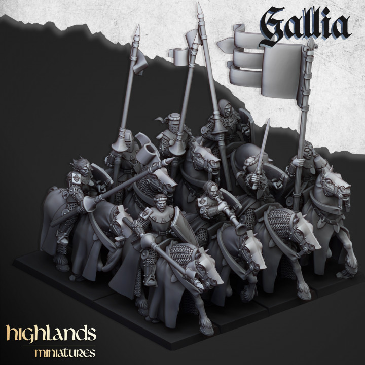 3D Printable Young Knights Of Gallia - Highlands Miniatures By ...