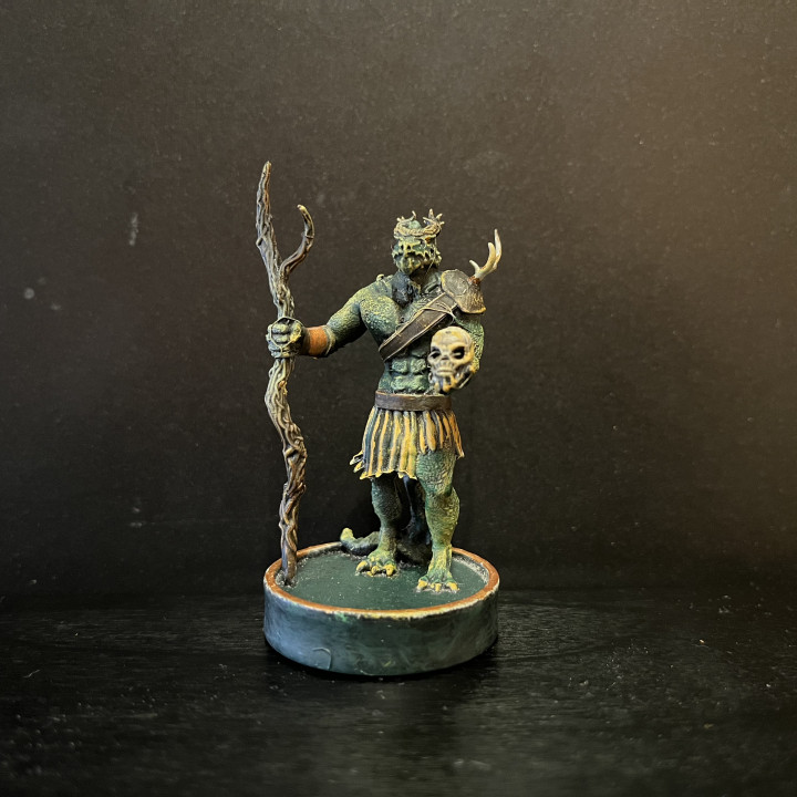 Lizardfolk Druid - 32mm image