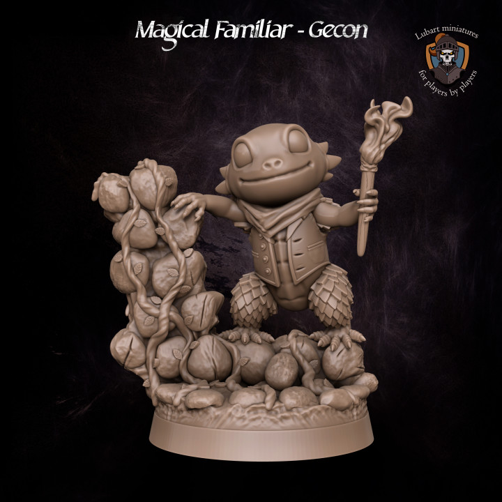 Magical Familiar - Gecon's Cover