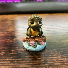 Picture of print of Magical Familiar - Turtle