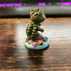 Picture of print of Magical Familiar - Turtle