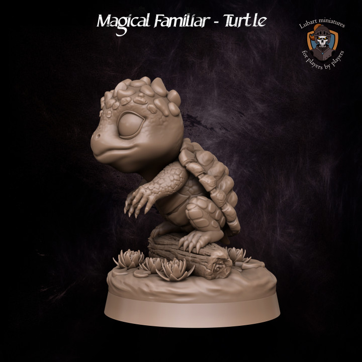 Magical Familiar - Turtle's Cover