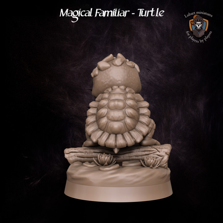 Magical Familiar - Turtle image