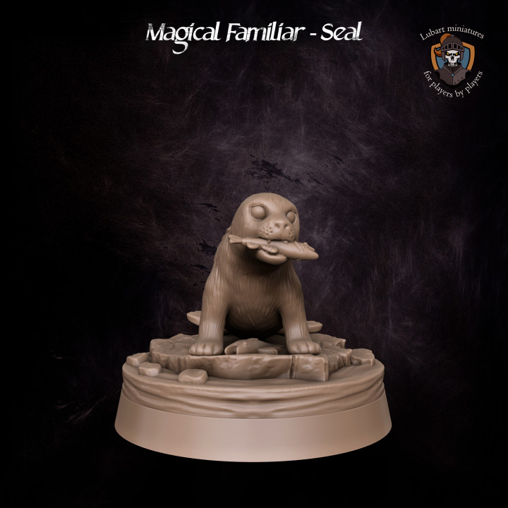 Magical Familiar - Seal's Cover