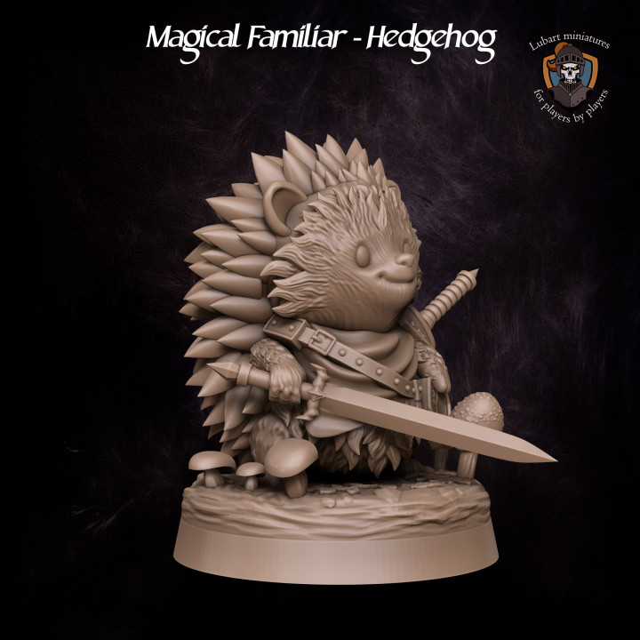 Magical Familiar - Hedgehog's Cover