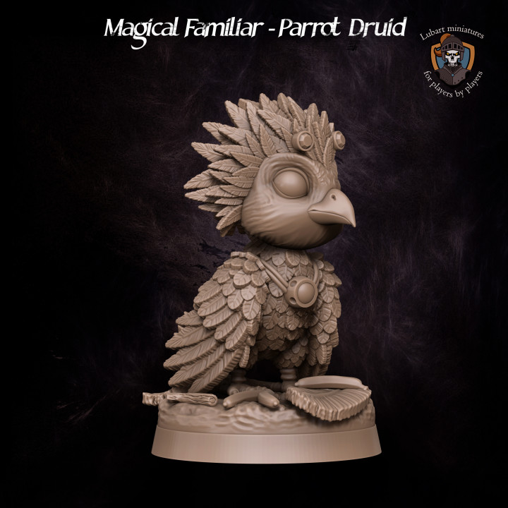 Magical Familiar - Parrot Druid's Cover