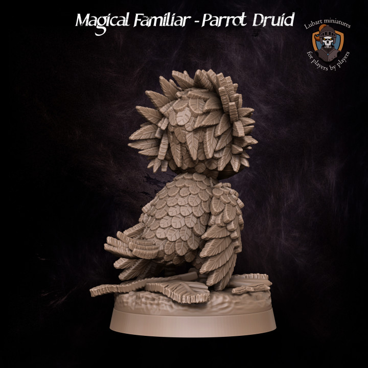 Magical Familiar - Parrot Druid image