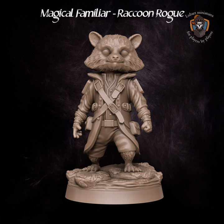 Magical Familiar - Raccoon Rogue image