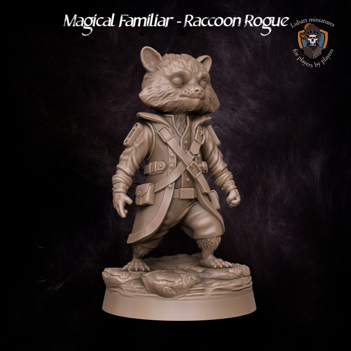 Magical Familiar - Raccoon Rogue's Cover