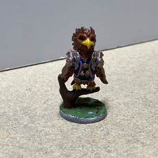 Picture of print of Magical Familiar - Hawk Ranger