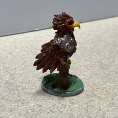 Picture of print of Magical Familiar - Hawk Ranger