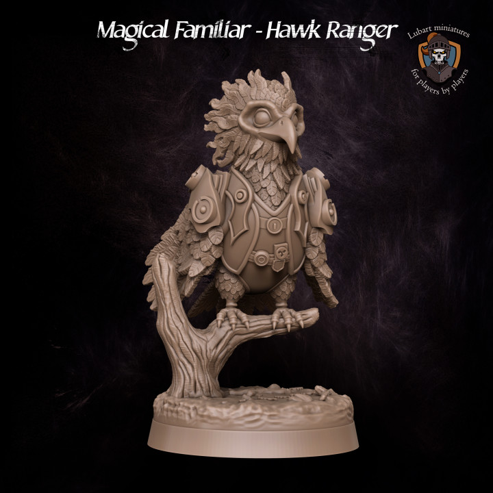 Magical Familiar - Hawk Ranger image