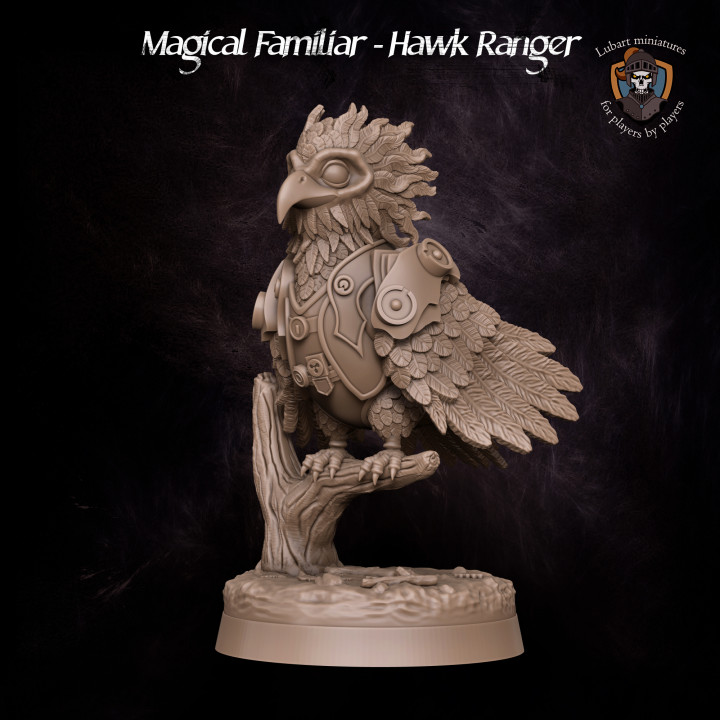 Magical Familiar - Hawk Ranger's Cover