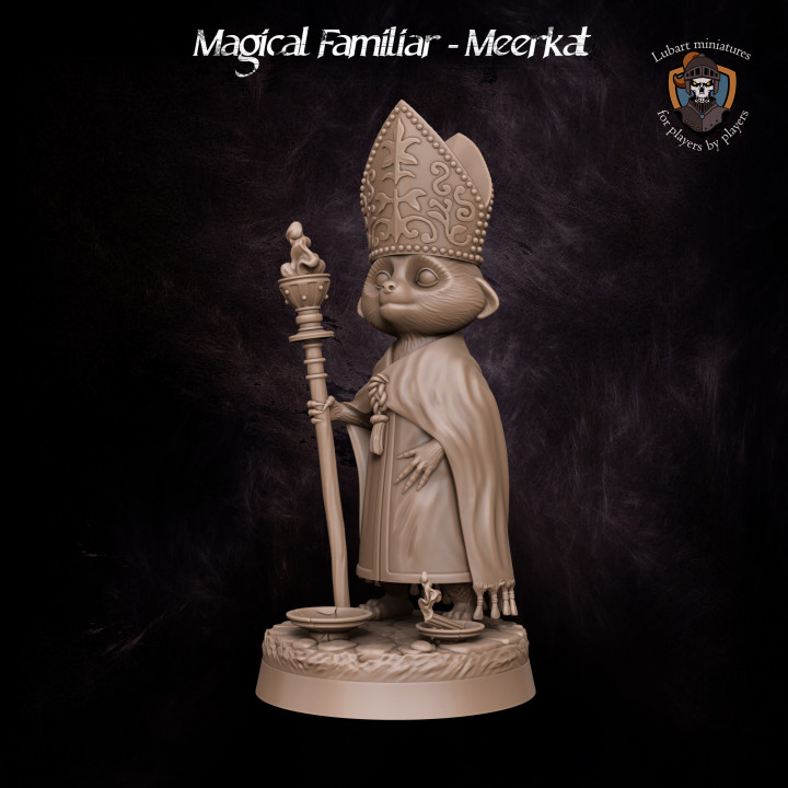 Magical Familiar - Meerkat Priest image