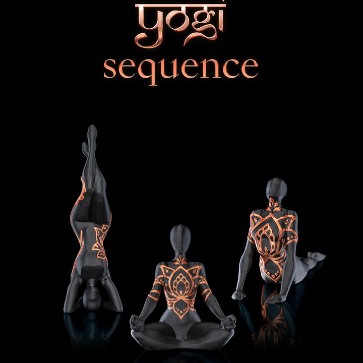 Yogi Sequence image