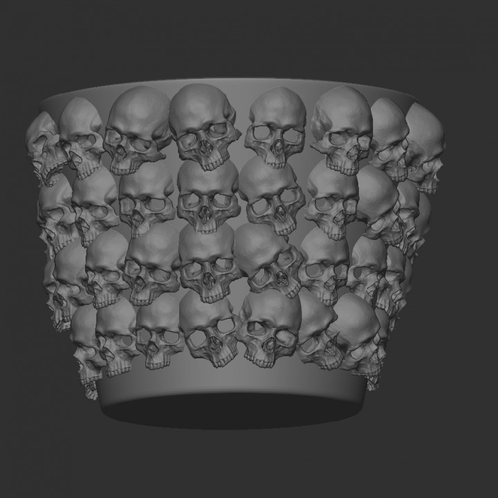 Skull covered pot