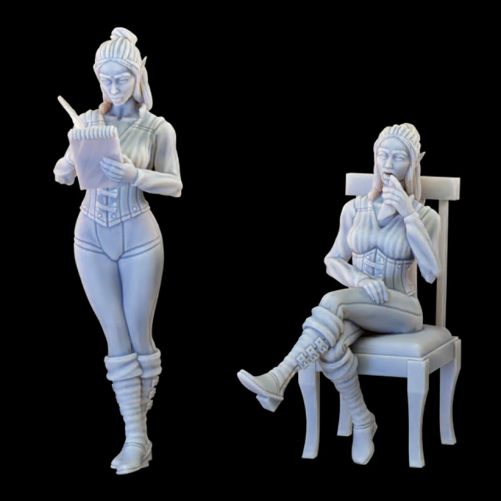 Elf Food Critic - Not Your Average Trading District Vol. II Kickstarter