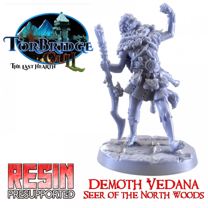 Demoth Vedana - Seer of the North Woods image