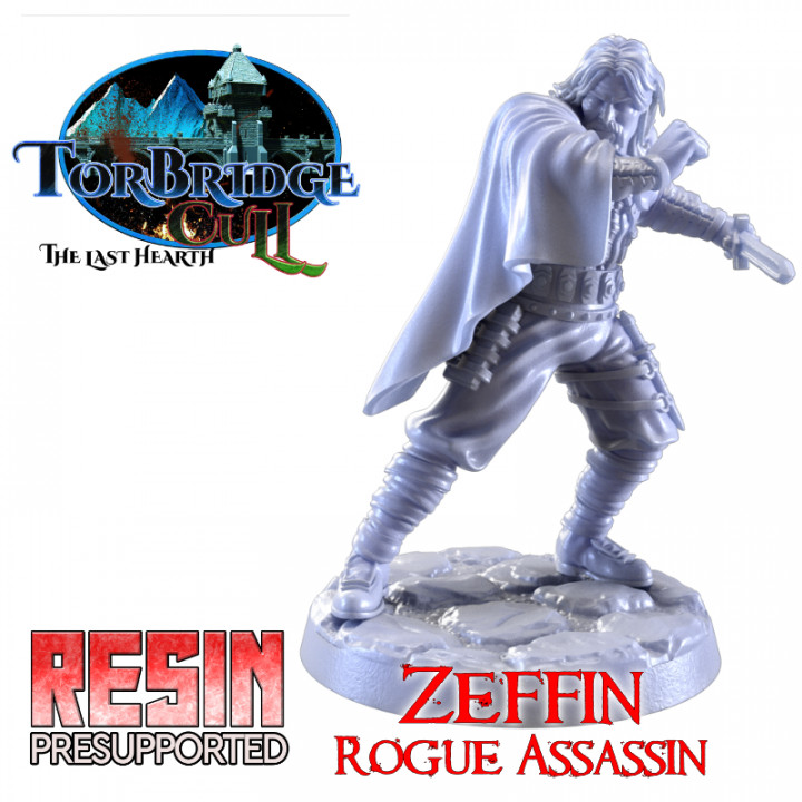 Zeffin - Rogue Assassin image