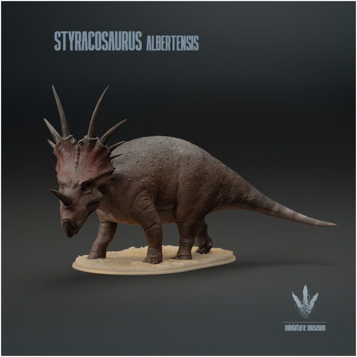 Styracosaurus albertensis : The Spiked Lizard image