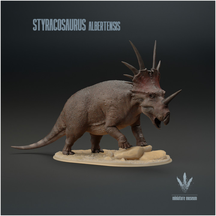 Styracosaurus albertensis : Climbing image