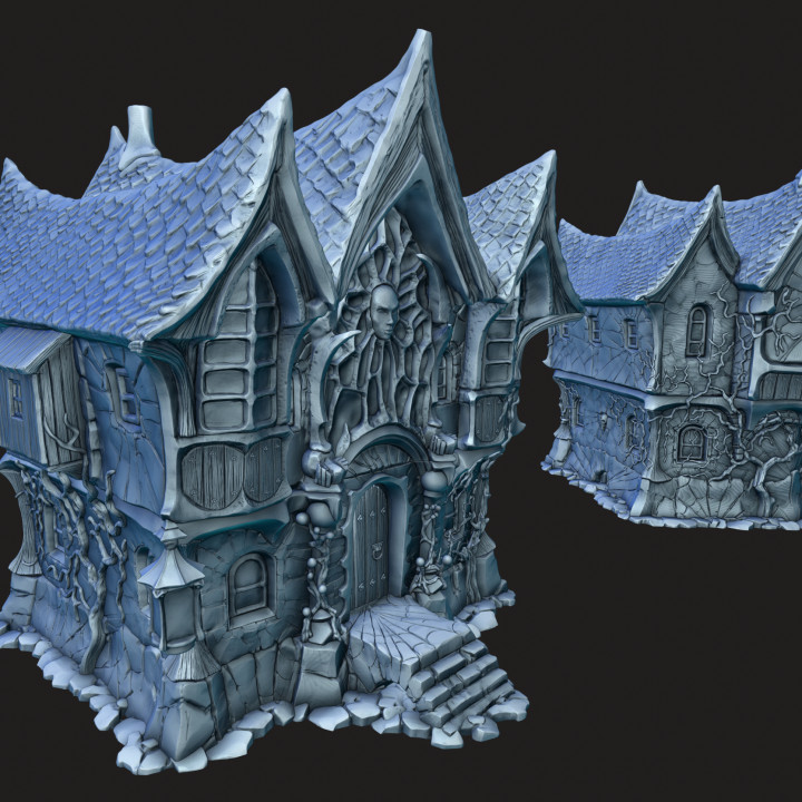 House, gothic building