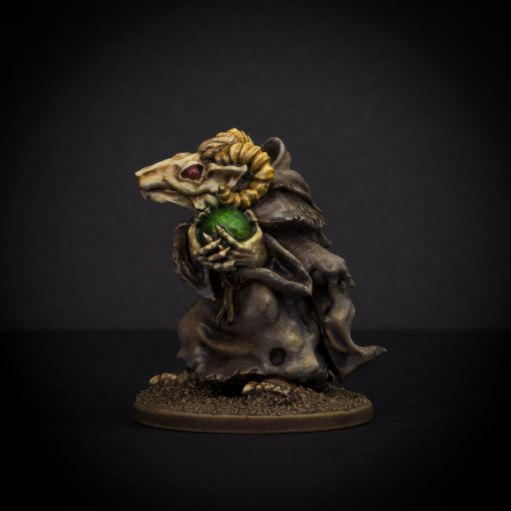 Ratman Seer