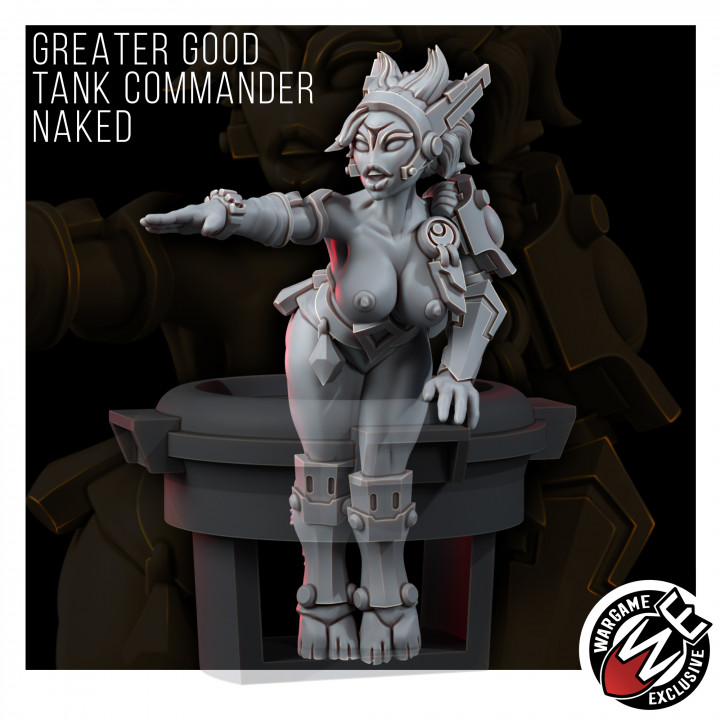 GREATER GOOD TANK COMMANDER (PIN-UP) image