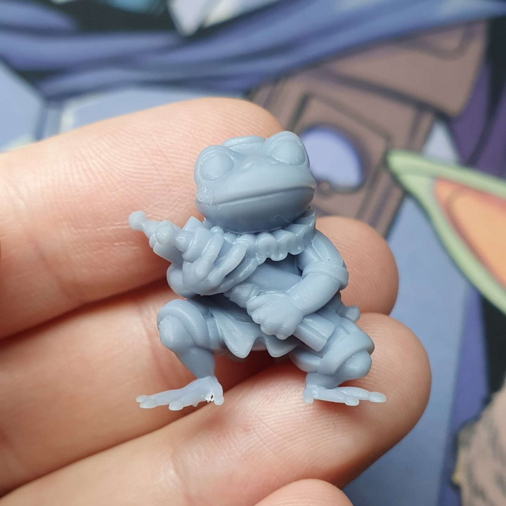 Croakfoot Puddlesage - Frogfolk Scholar - Fantasy Miniature image