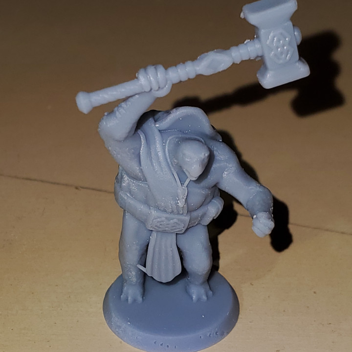 3D Printable Tortle Cleric (FREE) by Tarius Trinkets