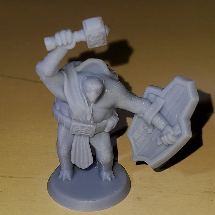 3D Printable Tortle Cleric (FREE) by Tarius Trinkets