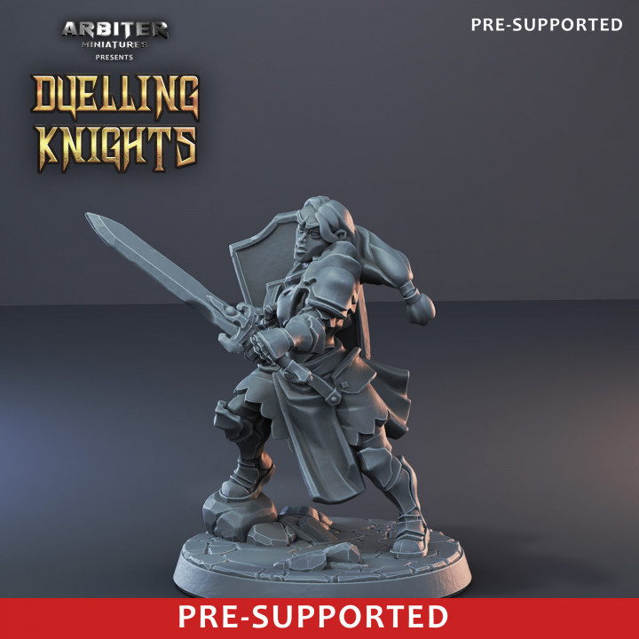 Pre-supported Female Knight 01