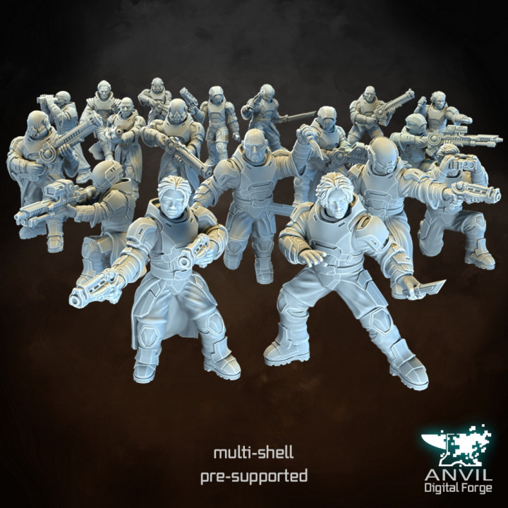 Desert House Troopers - Anvil Digital Forge March 2024