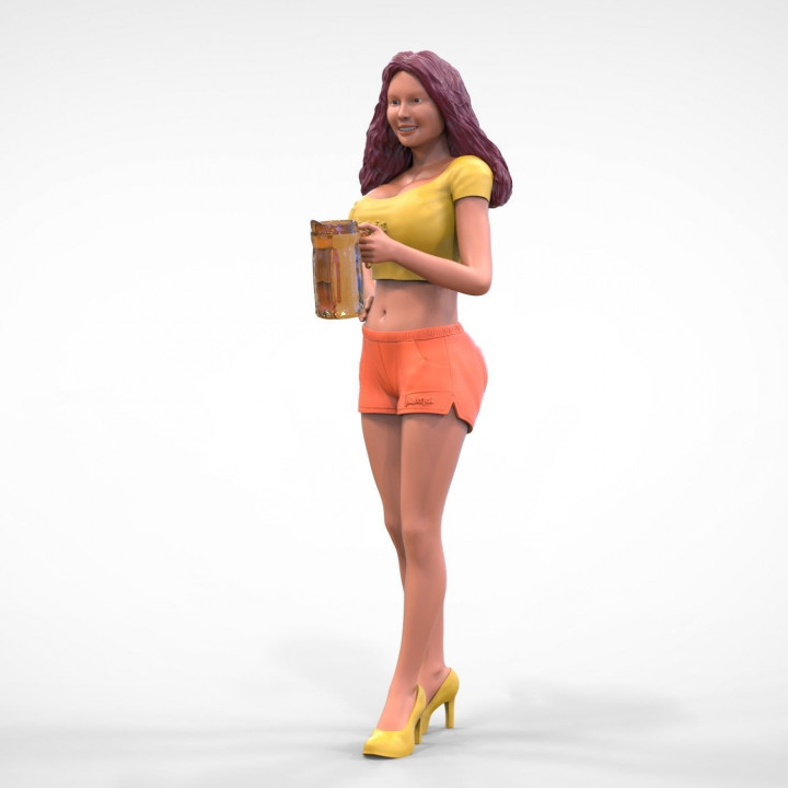 N6 Hooter waitress with beer 3D print model image