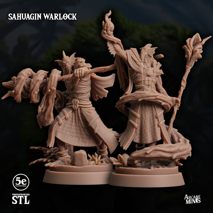 Sahuagin Warlock image