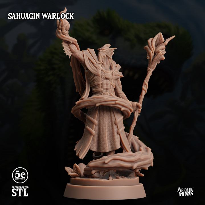 Sahuagin Warlock image