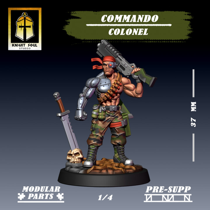 Commando Colonel image