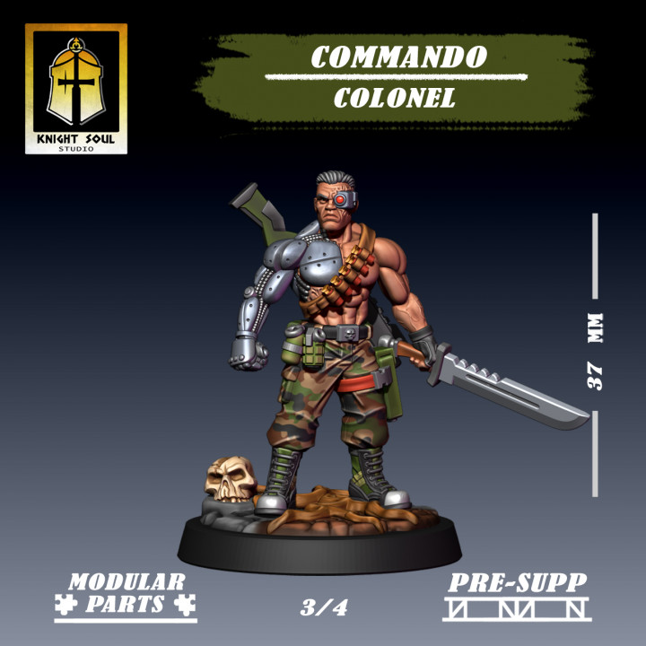 Commando Colonel image