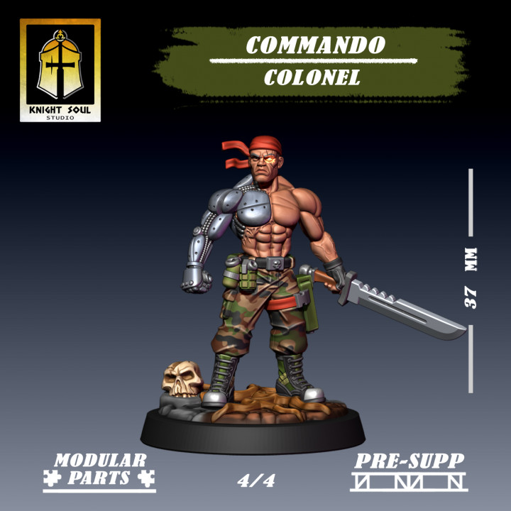 Commando Colonel image