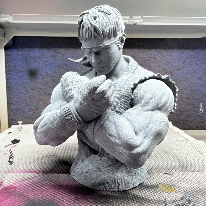 Ryu Bust (Street Fighter) image
