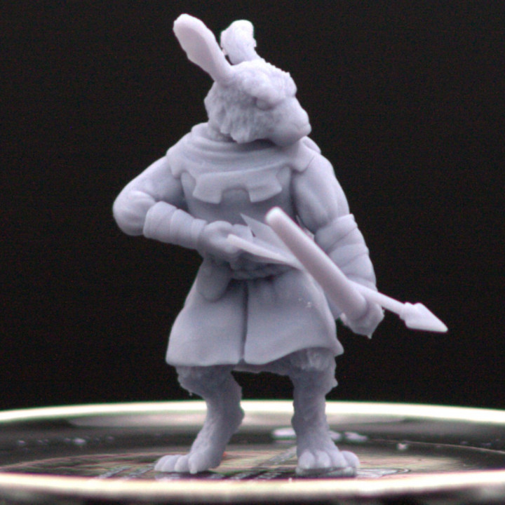 Rogue Rabbit archer b image